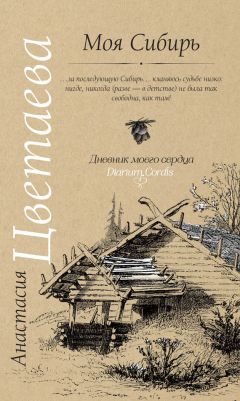 Юлий Пустарнаков - Волшебный фонарь. Хроника жизни Марины Цветаевой: от рождения до начала взрослой жизни (1892–1912)