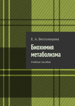Е. Бессолицына - Биохимия метаболизма. Учебное пособие