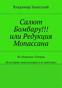 Владимир Залесский - Салют Бомбару!!! или Редукция Мопассана. Из сборника «Очерки об истории цивилизации и ее деятелях»