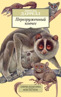 Анатолий Волков - 1984 год. Зоопарк. Поездка из СССР в ФРГ. И обратно