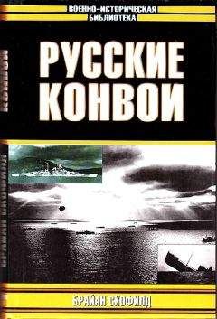 Михаил Барятинский - Немецкие танки в бою