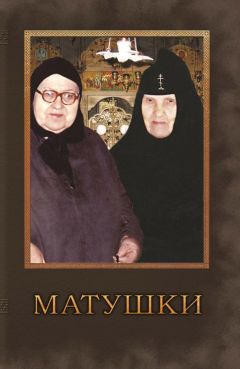 М. Соловьев - Святая Земля и Императорское Православное Палестинское Общество