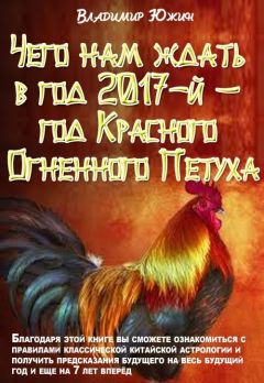 Владимир Южин - Чего нам ждать в год 2017-й – год Огненного Петуха