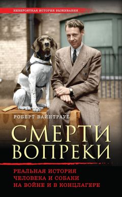 Эрве Де Шаландар - Меня спасла слеза. Реальная история о хрупкости жизни и о том, что любовь способна творить чудеса