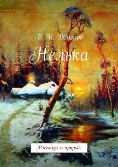 Валерий Жиглов - Нелька. Рассказы о природе