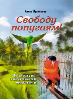 Владимир Гамаюн - Рассказы. Повести. Эссе. Книга первая. Однажды прожитая жизнь