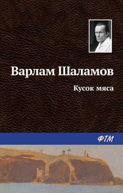 Варлам Шаламов - Богданов