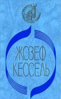 Александр Соколов - Экипаж «черного тюльпана»