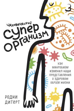 Тимур Воронков - Политика партии. Часть 1. Идеологическое направление