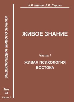 Ким Шилин - Релятивистская теория лимбокультуры