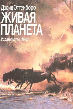 Илья Мельников - Разведение и выращивание коров