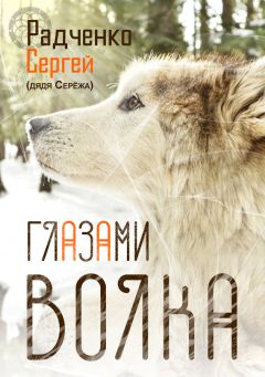 Михаил Пуценко - Рассказы об жизненных истинах