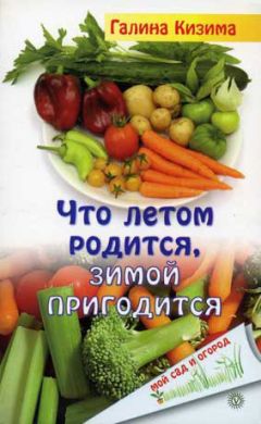 Галина Кизима - Соки, компоты, сиропы. Лучшие рецепты напитков из вашего урожая