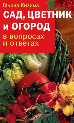 Галина Кизима - Огород, сад, цветник в вопросах и ответах