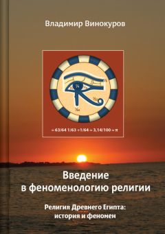 Владимир Винокуров - Введение в феноменологию религии