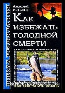 Анатолий Кондрашов - Формула успеха. Настольная книга лидера для достижения вершины