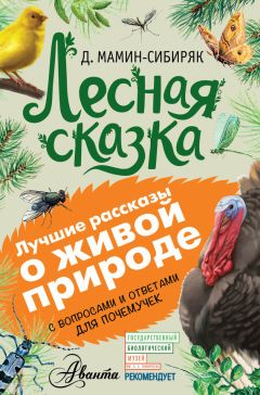 Лев Толстой - Мильтон и Булька. С вопросами и ответами для почемучек