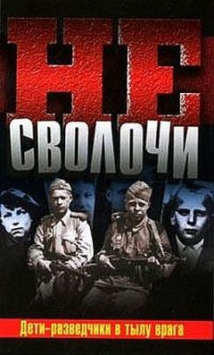 Илья Веселов - Три года в тылу врага