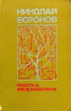 Елена Серебровская - Весенний шум