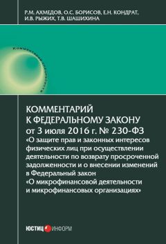 Денис Вавулин - Комментарий к Федеральному закону от 2 июля 2010 г. №151-ФЗ «О микрофинансовой деятельности и микрофинансовых организациях» (постатейный)