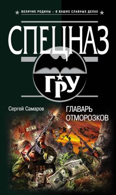 Александр Тамоников - Солдаты необъявленной войны