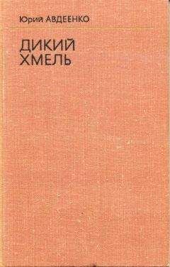 Юрий Слепухин - У черты заката. Ступи за ограду