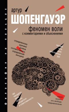 Иммануил Кант - Принцип чистого разума. С комментариями и объяснениями