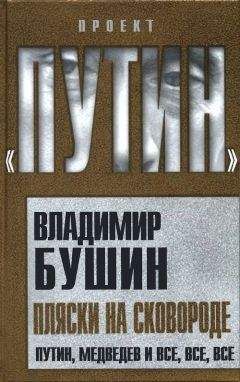 Владимир Бушин - Огонь по своим