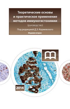 Алексей Ухтомский - Наша прекрасная Александрия. Письма к И. И. Каплан (1922–1924), Е. И. Бронштейн-Шур (1927–1941), Ф. Г. Гинзбург (1927–1941)