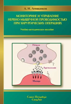 Анатолий Левшанков - Респираторная поддержка при анестезии, реанимации и интенсивной терапии