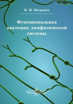 Валерий Петренко - Функциональная анатомия лимфатической cистемы