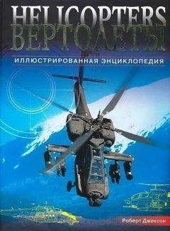 И. Ильинцев - Феномен иппликатора Кузнецова. Энциклопедия игольчатого массажа