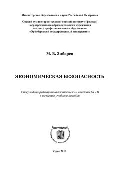 Михаил Зибарев - Экономическая безопасность