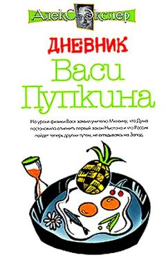 Алекс Экслер - Записки невесты программиста