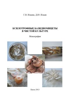 Ю. Тундыков - Введение в культурологию