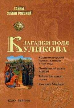 Владимир Егоров - Загадка Куликова поля, или Битва, которой не было