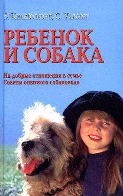 Александра Горовиц - Собака от носа до хвоста. Что она видит, чует и знает