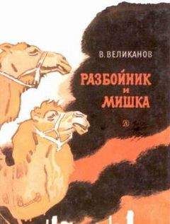 Ниссон Зелеранский - Мишка, Серёга и я