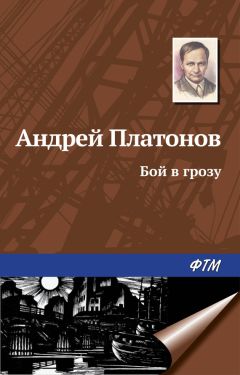 Андрей Платонов - Бой в грозу