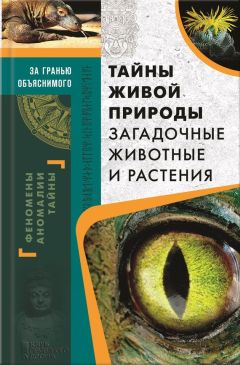 Сергей Реутов - Самые жуткие и мистические места на планете и тайны их жителей