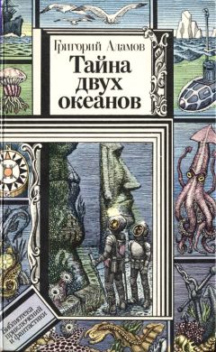 Жюль Верн - Флаг родины: романы