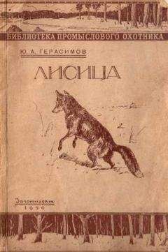 Юрий Казаков - Арктур – гончий пес