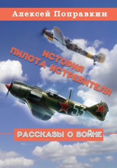 Владимир Владимиров - Записки военного пилота. Жизнь военного летчика сквозь призму кулинарных рецептов