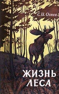 Николай Плавильщиков - Гребень буйвола