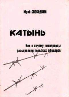 Энн Эпплбаум - Покаяние как социальный институт