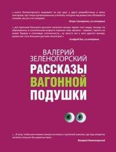 Валерий Зеленогорский - Рассказы вагонной подушки