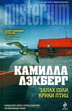 Камилла Лэкберг - Укрощение