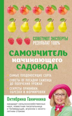 Н. Гордиенко - Самоучитель по блоку «Психолого-педагогическая диагностика личности педагогических работников»