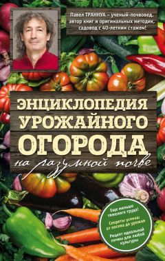 Любовь Поливалина - Энциклопедия молодой семьи