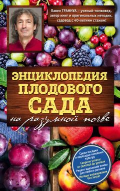 Долма Джангкху - Стихия Дерева в Фэн-Шуй. Полная энциклопедия